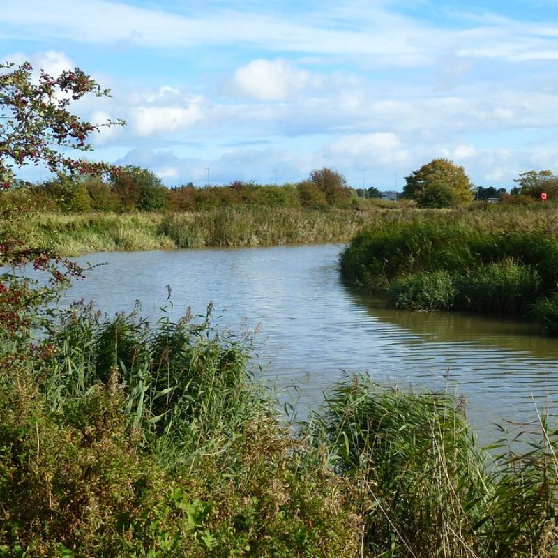 Image of Monks Wall Nature Reserve