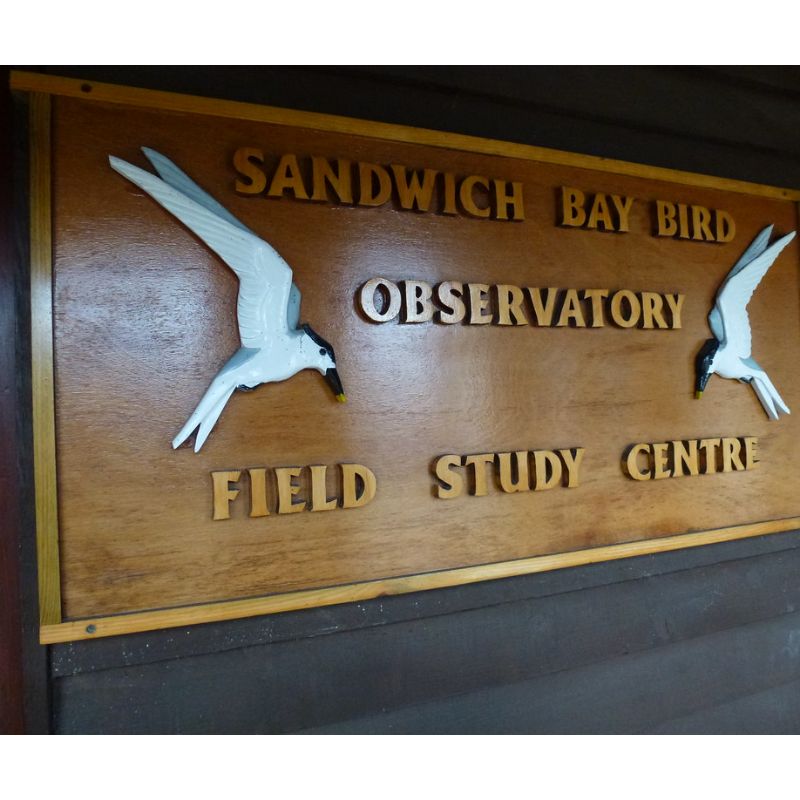 Image of Sandwich Bay Bird Observatory