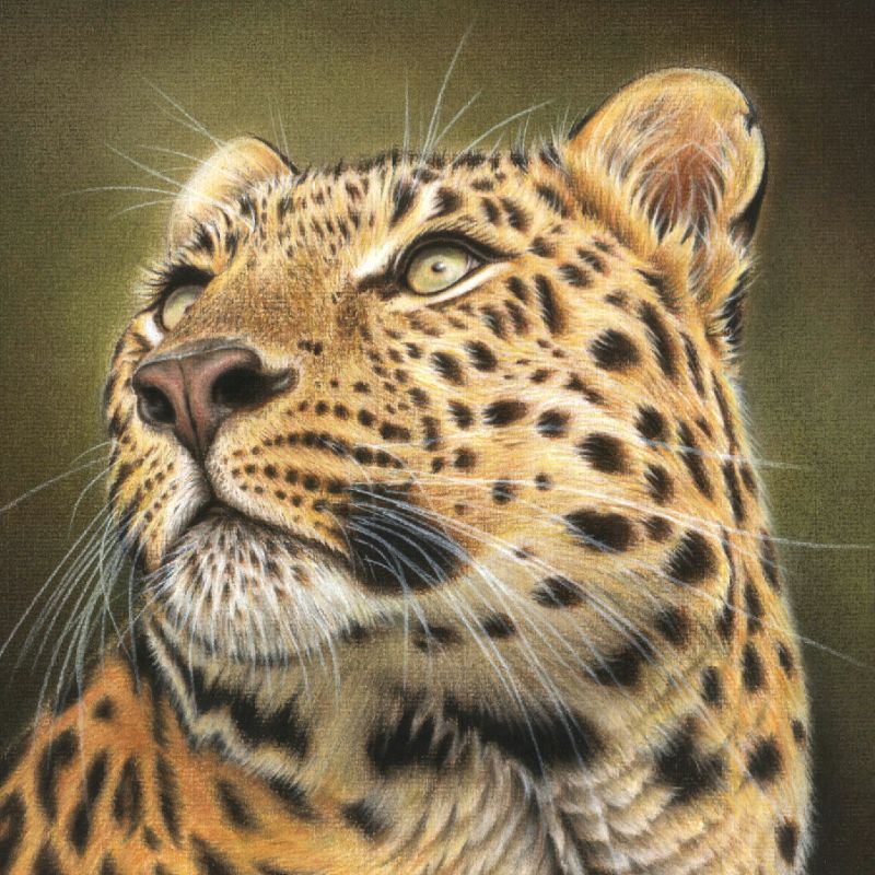 Image of Giles Illsley Fine Art